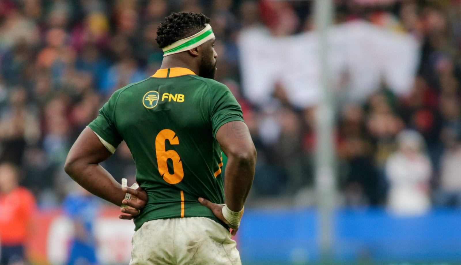Ireland vs Springboks: Prediction, head-to-head, kick off time and teams for Saturday 22 November 2025