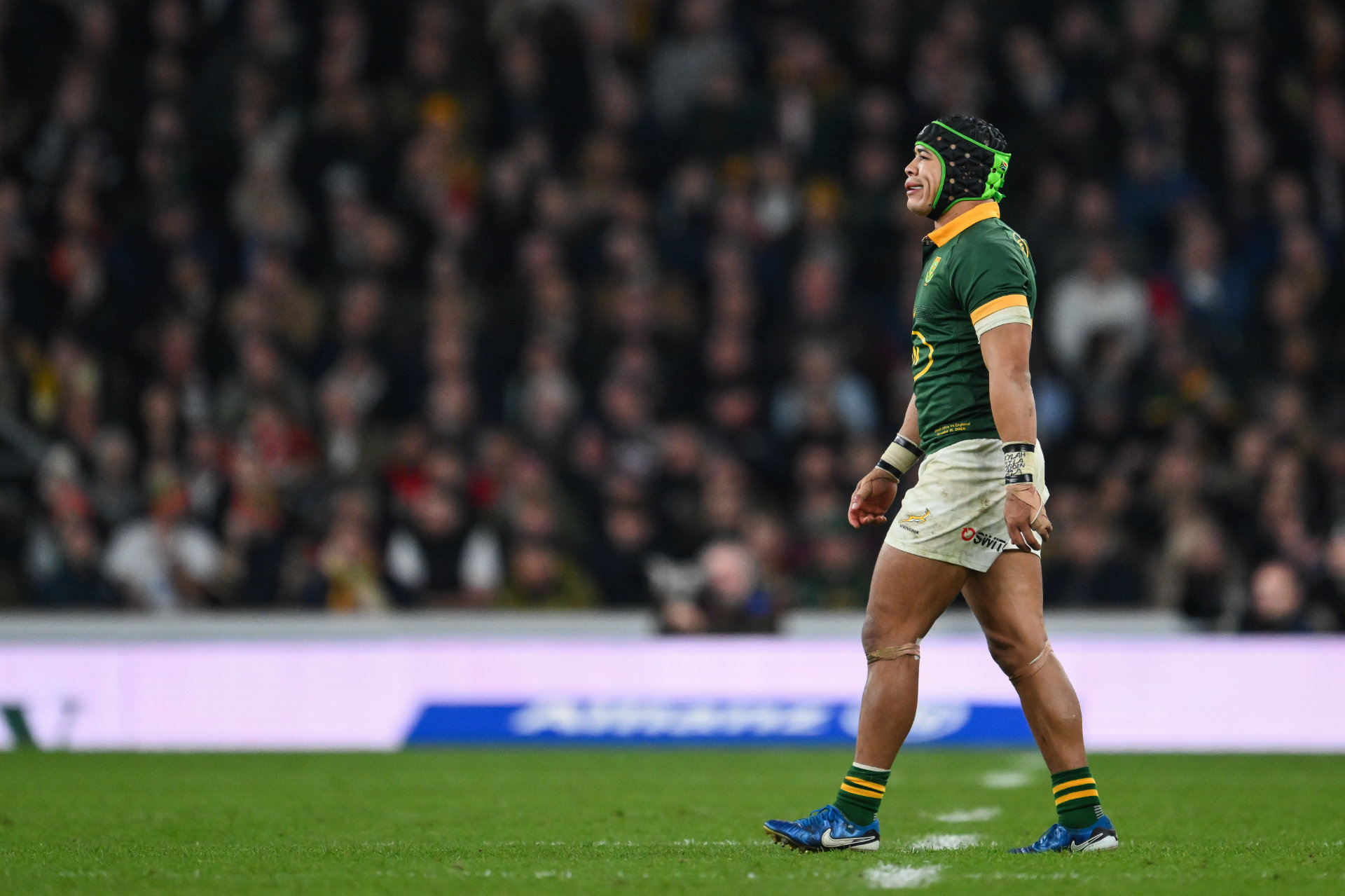 South Africa vs New Zealand: Prediction, kick off time and teams for Saturday 29 August 2026