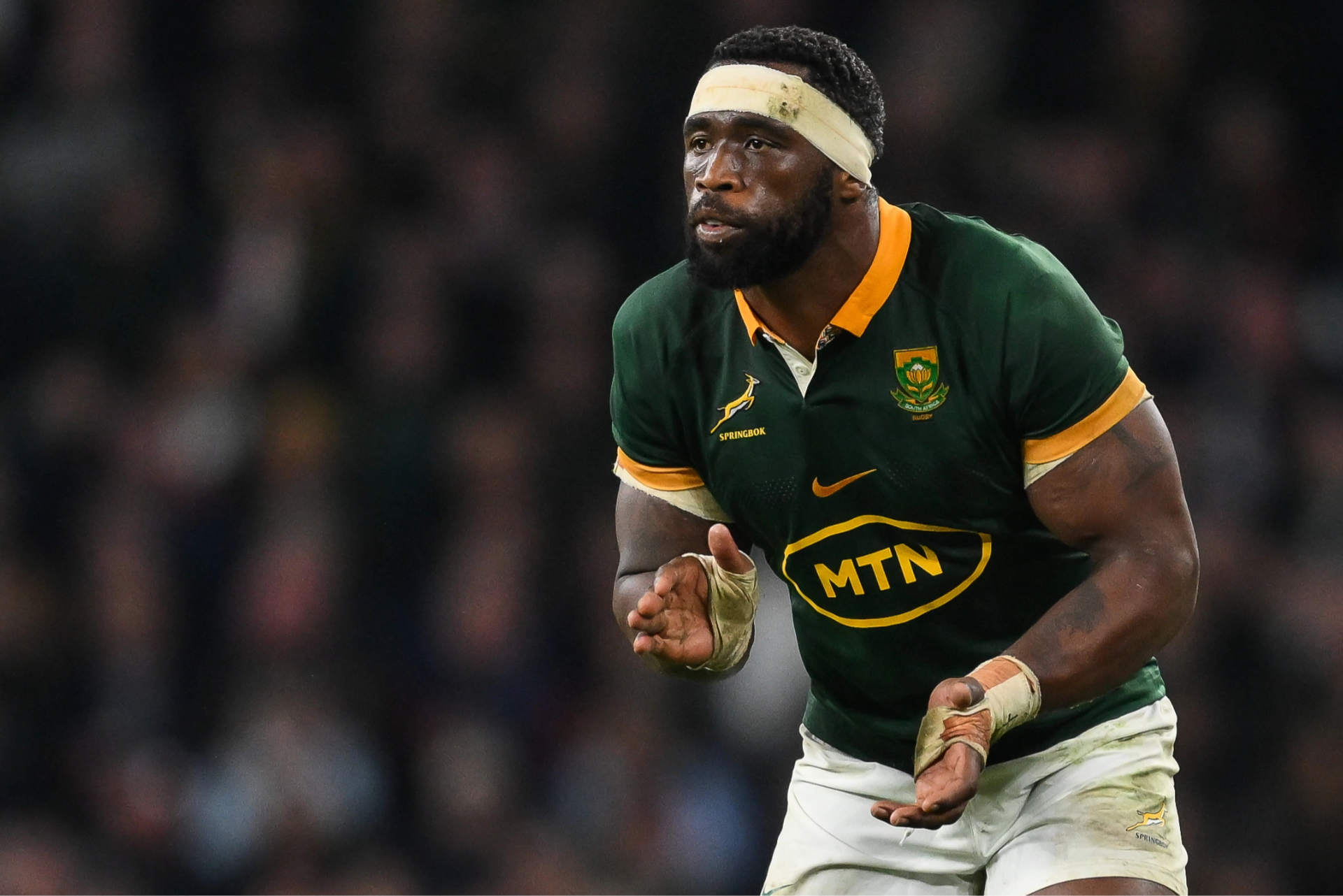 Springboks vs New Zealand: Prediction, kick off time and teams for Saturday 12 September 2026